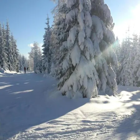 In Liberec With Sauna And Nearby Nyaraló