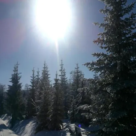 Nyaraló In Liberec With Sauna And Nearby