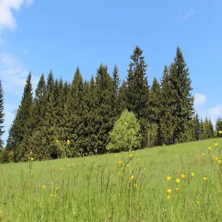 In Liberec With Sauna And Nearby