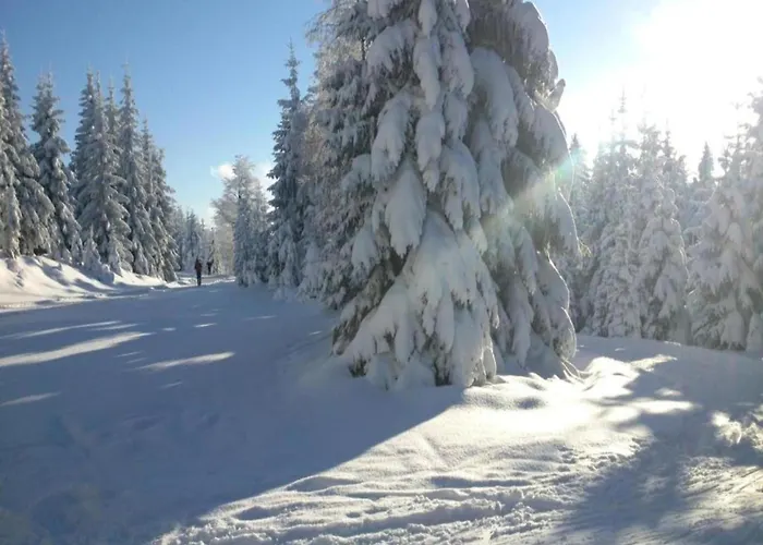 In Liberec With Sauna And Nearby Nyaraló