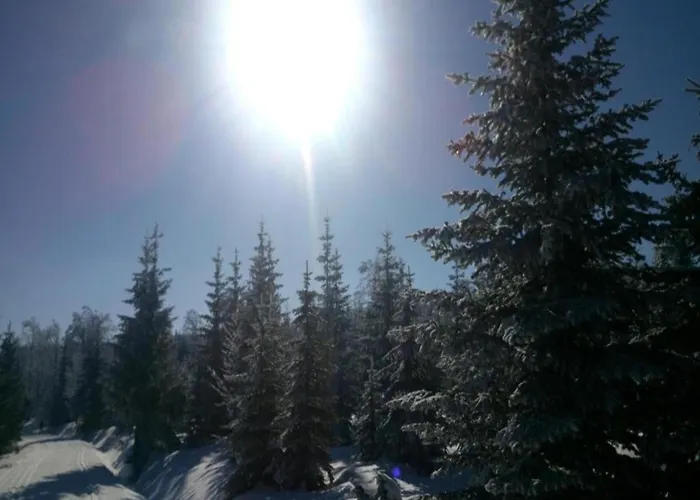 Nyaraló In Liberec With Sauna And Nearby