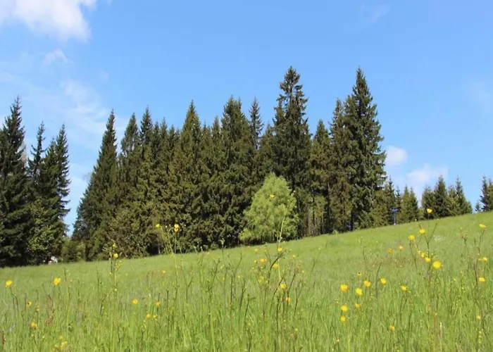 In Liberec With Sauna And Nearby
