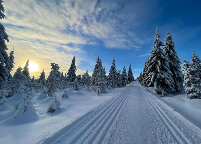 Nyaraló In Liberec With Sauna And Nearby