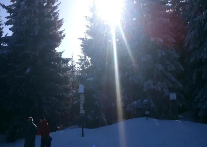 In Liberec With Sauna And Nearby Nyaraló Rudolfov